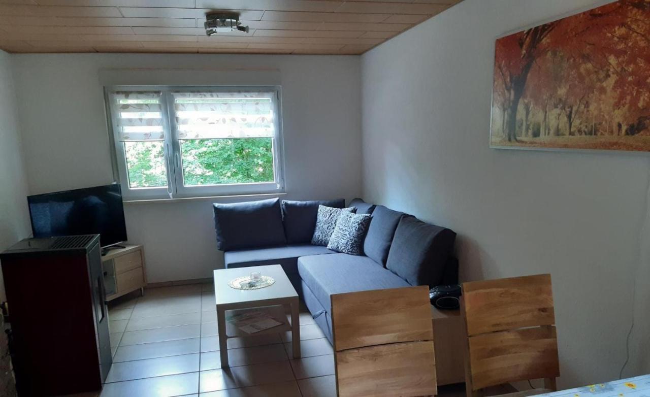 Feriendorf "Am Forsthaus" Mosbach Mosbach  Екстериор снимка
